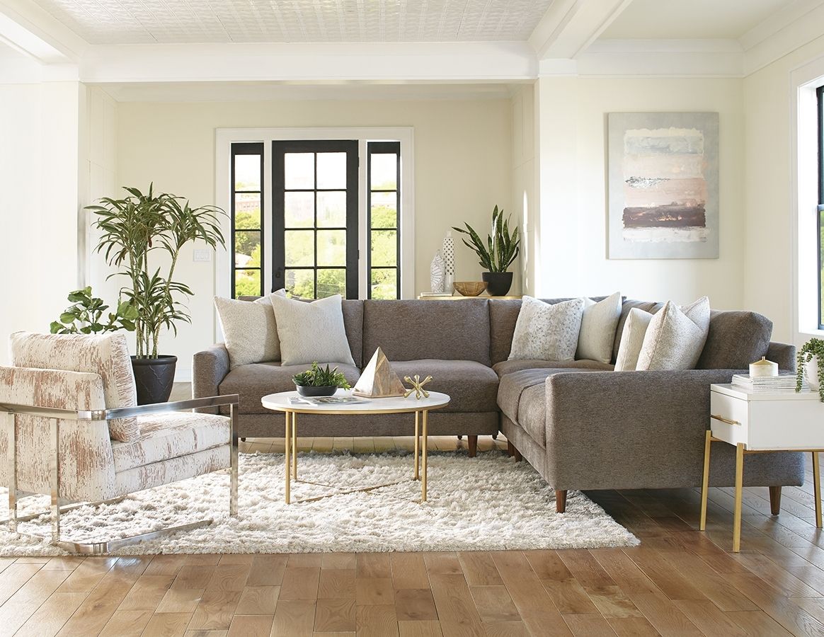 The Raine Collection