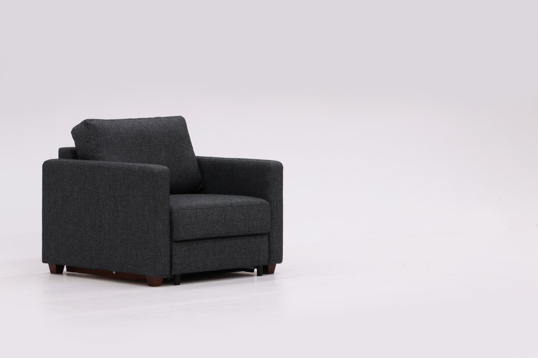 Fantasy Cot Size Chair Sleeper - Level Function - Image 2