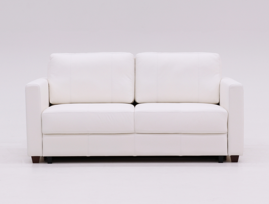 Fantasy Queen Size Loveseat Sleeper - Level Function